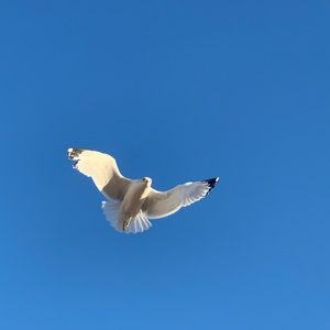 Meet your Posher, Anastasiya